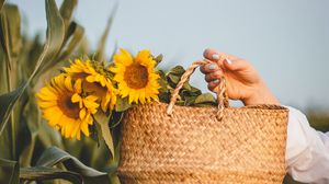 Preview wallpaper sunflowers, flowers, basket, hands, leaves