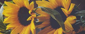 Preview wallpaper sunflowers, flowers, bouquet, floristry