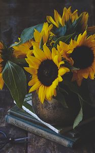 Preview wallpaper sunflowers, flowers, bouquet, yellow, aesthetics