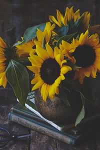 Preview wallpaper sunflowers, flowers, bouquet, yellow, aesthetics