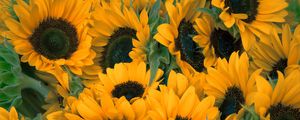 Preview wallpaper sunflowers, flowers, lots