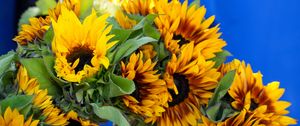 Preview wallpaper sunflowers, flowers, petals, bouquet, bright