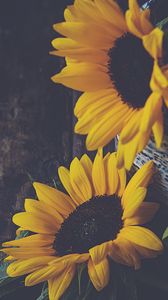 Preview wallpaper sunflowers, flowers, petals, vase, yellow