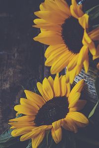 Preview wallpaper sunflowers, flowers, petals, vase, yellow