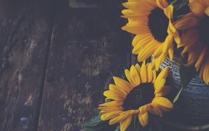Preview wallpaper sunflowers, flowers, petals, vase, yellow