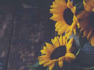 Preview wallpaper sunflowers, flowers, petals, vase, yellow