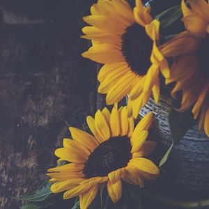 Preview wallpaper sunflowers, flowers, petals, vase, yellow