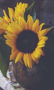 Preview wallpaper sunflowers, flowers, petals, vase, yellow, aesthetics