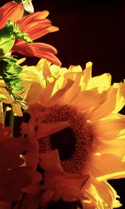 Preview wallpaper sunflowers, flowers, petals, yellow, macro