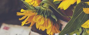 Preview wallpaper sunflowers, flowers, petals, macro, aesthetics