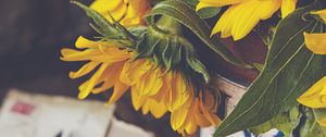 Preview wallpaper sunflowers, flowers, petals, macro, aesthetics