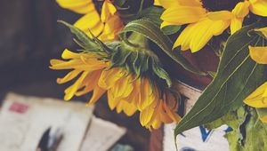 Preview wallpaper sunflowers, flowers, petals, macro, aesthetics