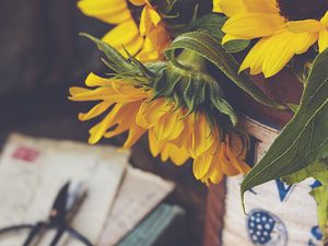 Preview wallpaper sunflowers, flowers, petals, macro, aesthetics