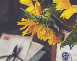 Preview wallpaper sunflowers, flowers, petals, macro, aesthetics