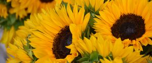 Preview wallpaper sunflowers, flowers, petals, yellow