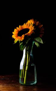 Preview wallpaper sunflowers, flowers, petals, vase