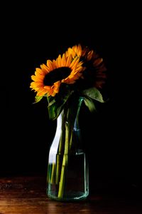 Preview wallpaper sunflowers, flowers, petals, vase