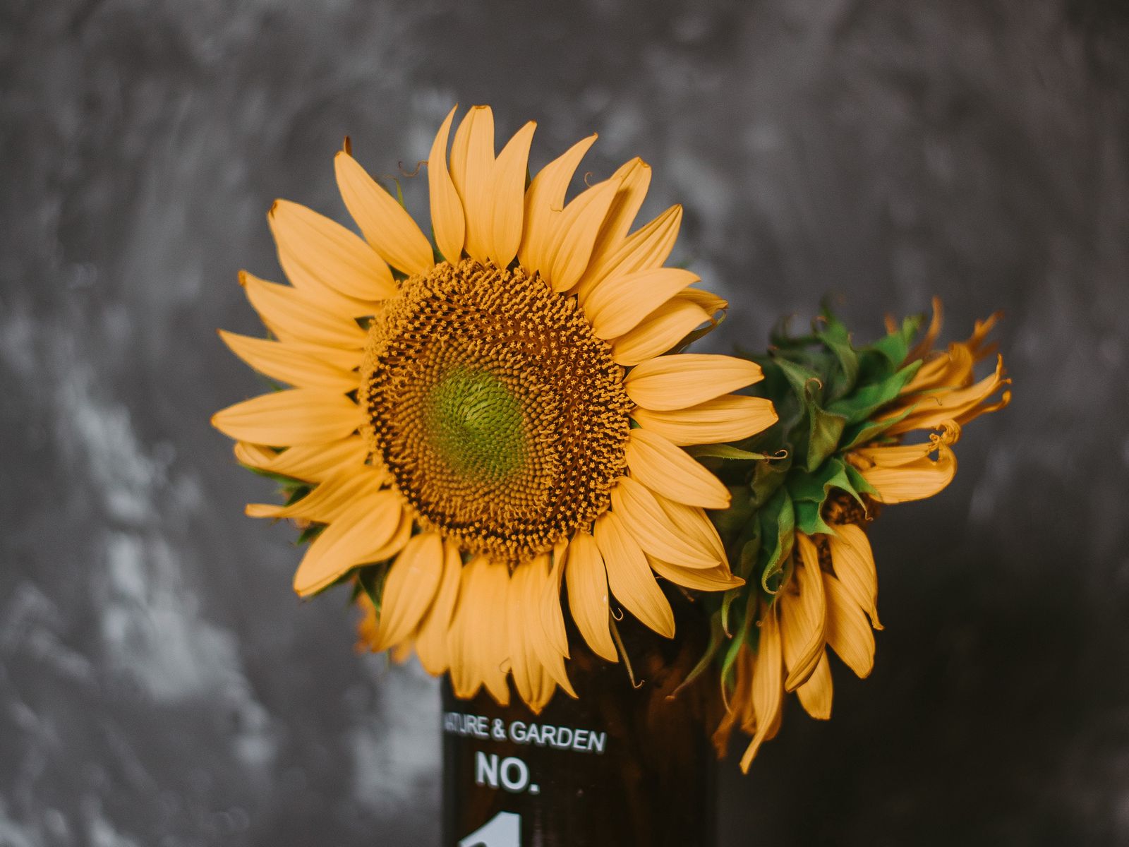 Download wallpaper 1600x1200 sunflowers, flowers, vase, books, camera