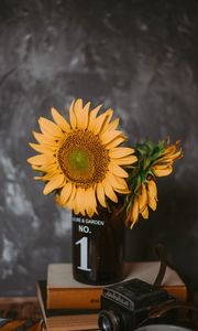 Preview wallpaper sunflowers, flowers, vase, books, camera