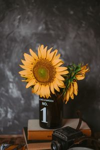 Preview wallpaper sunflowers, flowers, vase, books, camera