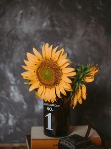 Preview wallpaper sunflowers, flowers, vase, books, camera