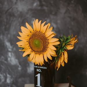 Preview wallpaper sunflowers, flowers, vase, books, camera