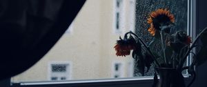 Preview wallpaper sunflowers, flowers, vase, window, rain