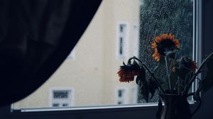 Preview wallpaper sunflowers, flowers, vase, window, rain