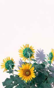 Preview wallpaper sunflowers, flowers, yellow, plant