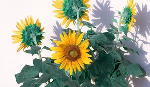 Preview wallpaper sunflowers, flowers, yellow, plant