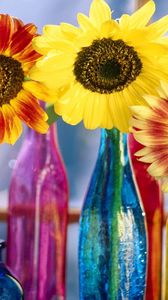 Preview wallpaper sunflowers, leaf, bright, bottles, light