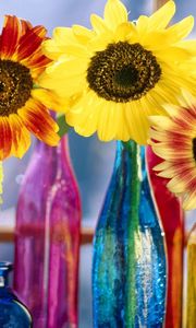 Preview wallpaper sunflowers, leaf, bright, bottles, light