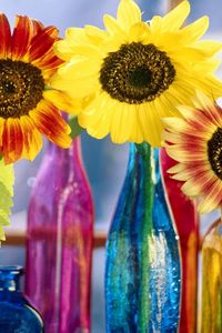 Preview wallpaper sunflowers, leaf, bright, bottles, light