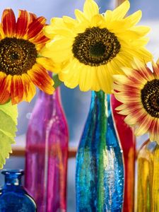 Preview wallpaper sunflowers, leaf, bright, bottles, light