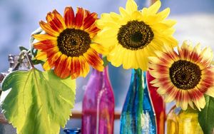 Preview wallpaper sunflowers, leaf, bright, bottles, light