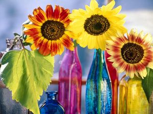 Preview wallpaper sunflowers, leaf, bright, bottles, light