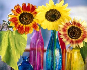 Preview wallpaper sunflowers, leaf, bright, bottles, light