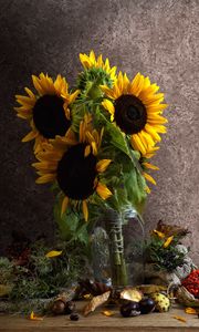 Preview wallpaper sunflowers, petals, bouquet, leaves