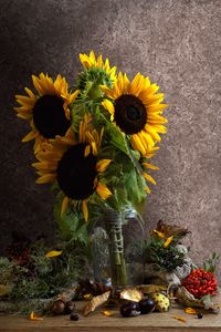 Preview wallpaper sunflowers, petals, bouquet, leaves