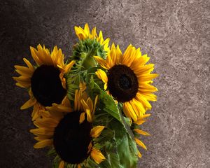 Preview wallpaper sunflowers, petals, bouquet, leaves