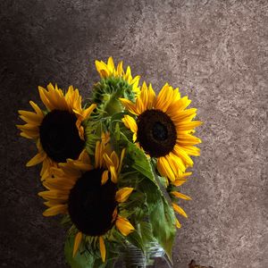 Preview wallpaper sunflowers, petals, bouquet, leaves