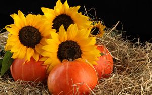 Preview wallpaper sunflowers, pumpkins, straw, leaves