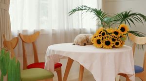 Preview wallpaper sunflowers, puppy, table