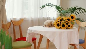 Preview wallpaper sunflowers, puppy, table