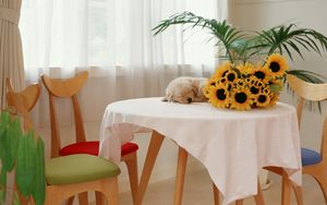 Preview wallpaper sunflowers, puppy, table