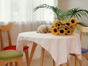 Preview wallpaper sunflowers, puppy, table