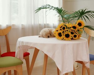 Preview wallpaper sunflowers, puppy, table