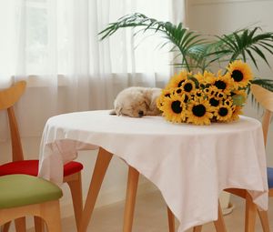 Preview wallpaper sunflowers, puppy, table