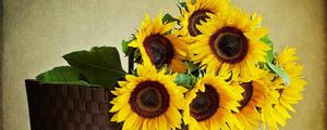 Preview wallpaper sunflowers, shopping, wall, table, leaves