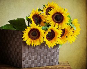 Preview wallpaper sunflowers, shopping, wall, table, leaves